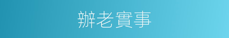 辦老實事的同義詞