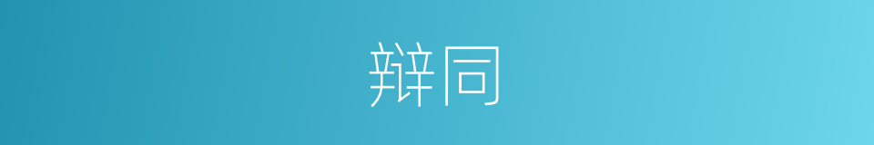 辩同的同义词