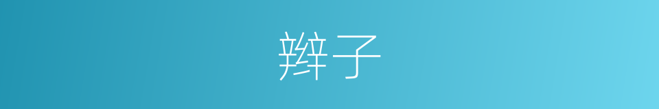 辫子的意思