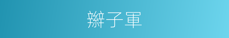 辮子軍的同義詞