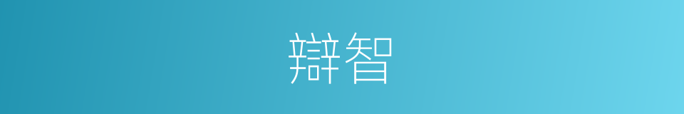 辯智的意思