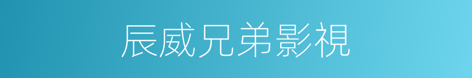 辰威兄弟影視的同義詞