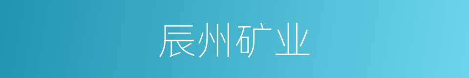 辰州矿业的同义词