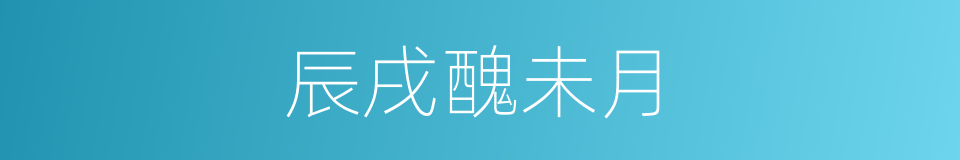 辰戌醜未月的同義詞