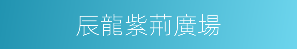 辰龍紫荊廣場的同義詞