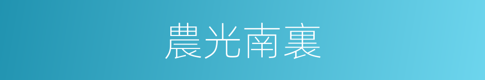 農光南裏的同義詞