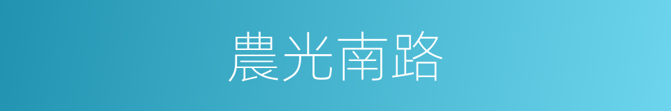 農光南路的同義詞