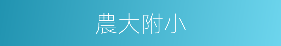 農大附小的同義詞