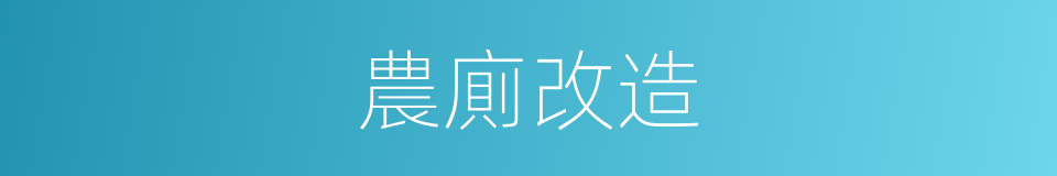 農廁改造的同義詞