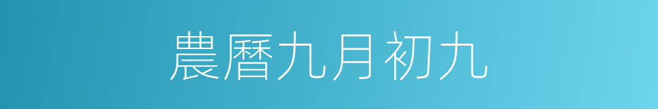 農曆九月初九的同義詞