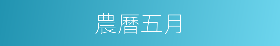 農曆五月的同義詞