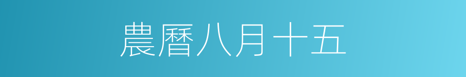 農曆八月十五的同義詞