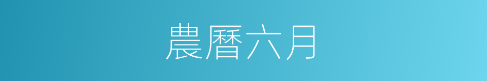 農曆六月的同義詞