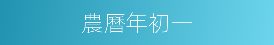 農曆年初一的同義詞