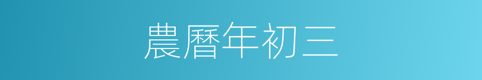 農曆年初三的同義詞