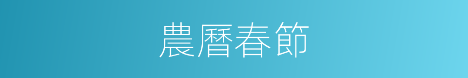 農曆春節的同義詞