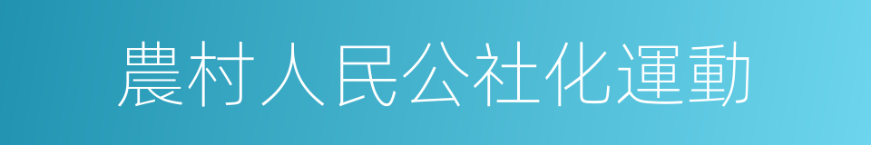 農村人民公社化運動的同義詞