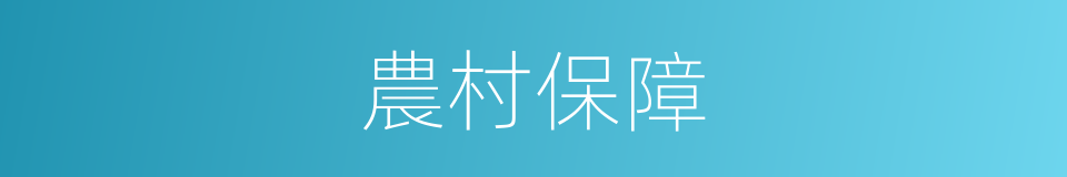 農村保障的同義詞
