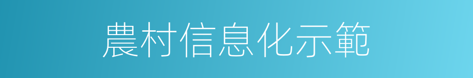 農村信息化示範的同義詞