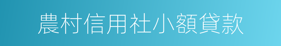 農村信用社小額貸款的同義詞