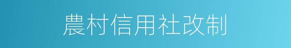 農村信用社改制的同義詞