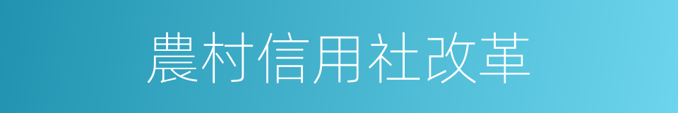 農村信用社改革的同義詞