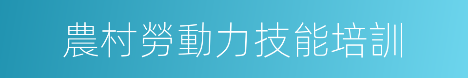 農村勞動力技能培訓的同義詞