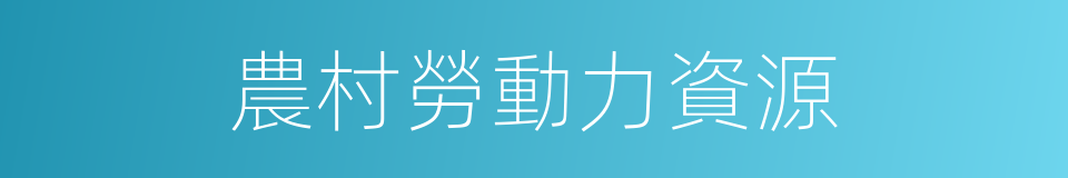 農村勞動力資源的同義詞