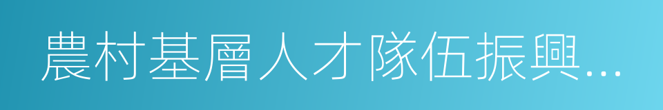 農村基層人才隊伍振興計劃的同義詞