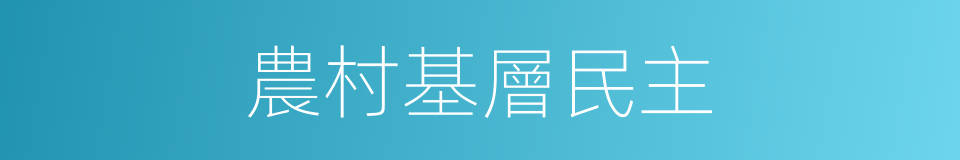 農村基層民主的同義詞