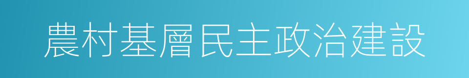 農村基層民主政治建設的同義詞