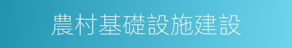 農村基礎設施建設的同義詞