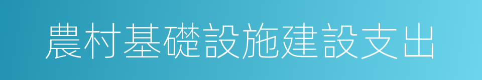 農村基礎設施建設支出的同義詞