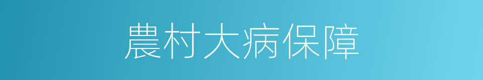 農村大病保障的同義詞