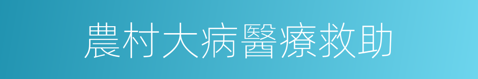 農村大病醫療救助的同義詞