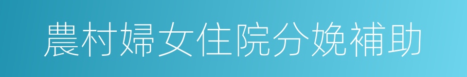 農村婦女住院分娩補助的同義詞