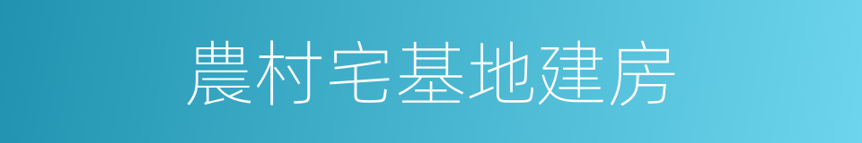 農村宅基地建房的同義詞