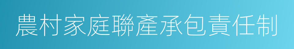 農村家庭聯產承包責任制的同義詞