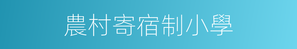 農村寄宿制小學的同義詞