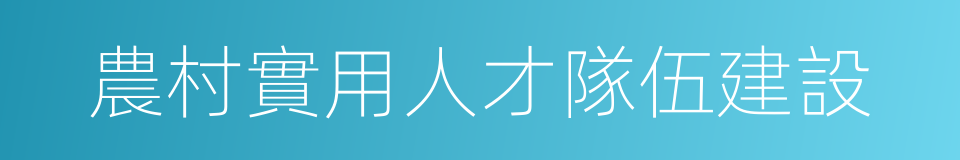 農村實用人才隊伍建設的同義詞