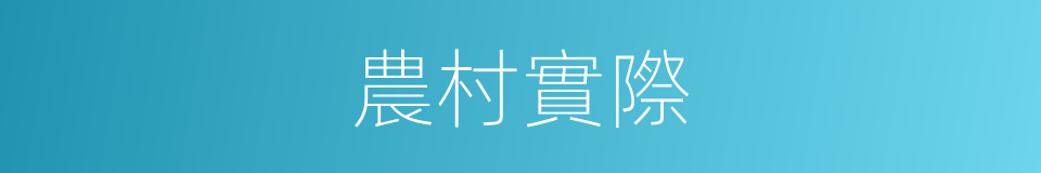 農村實際的同義詞