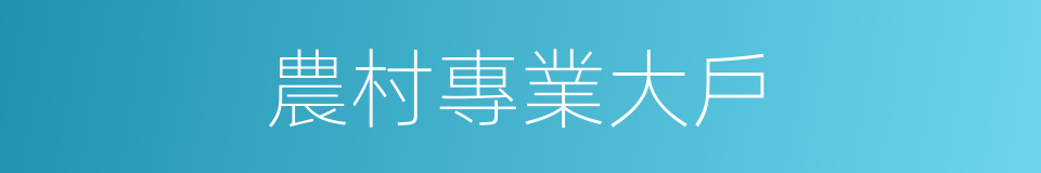 農村專業大戶的同義詞