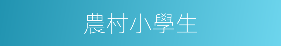 農村小學生的同義詞