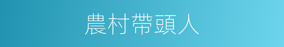 農村帶頭人的同義詞