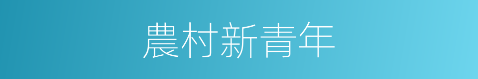 農村新青年的同義詞