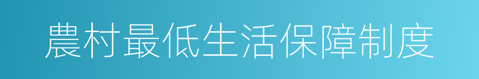 農村最低生活保障制度的同義詞