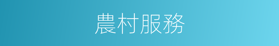 農村服務的同義詞