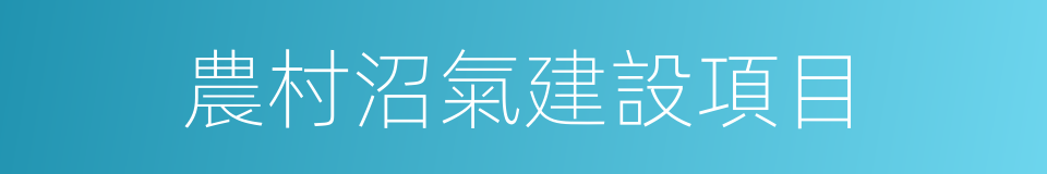 農村沼氣建設項目的同義詞