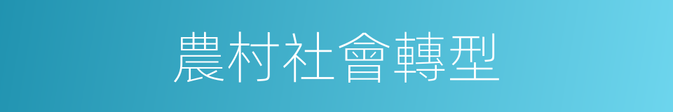 農村社會轉型的同義詞