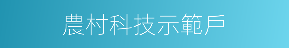 農村科技示範戶的同義詞